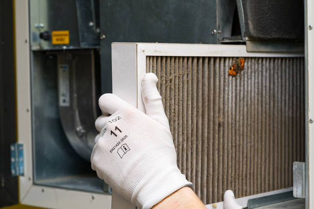 Best Air Quality Test  in Cottonwood, CA