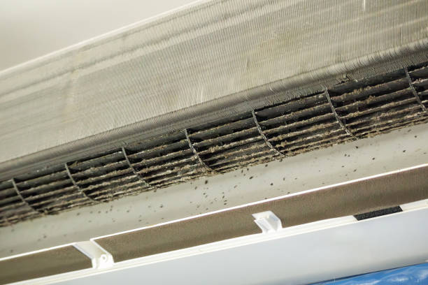 Best Duct Cleaning for Offices  in Cottonwood, CA